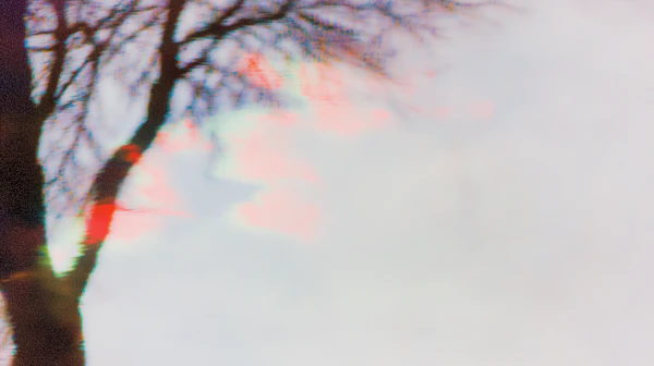 Abstract Tree Gradient