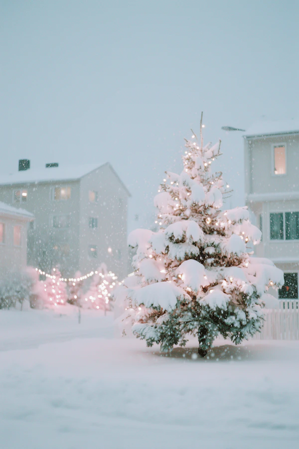 Snowy Christmas Scene