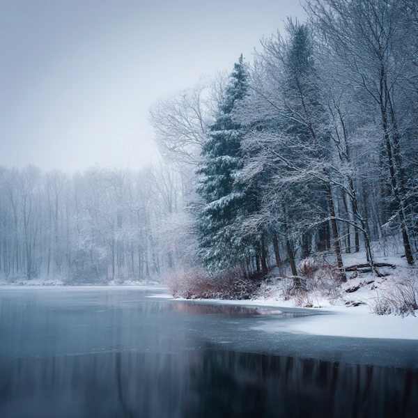 Serene Winter Landscape