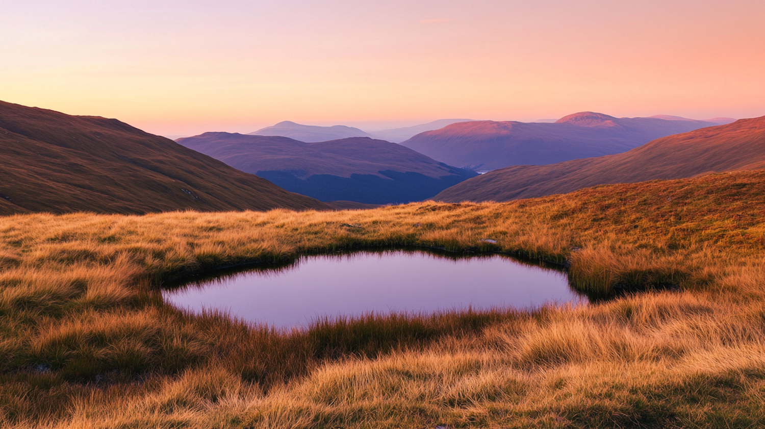 Serene Sunset Landscape