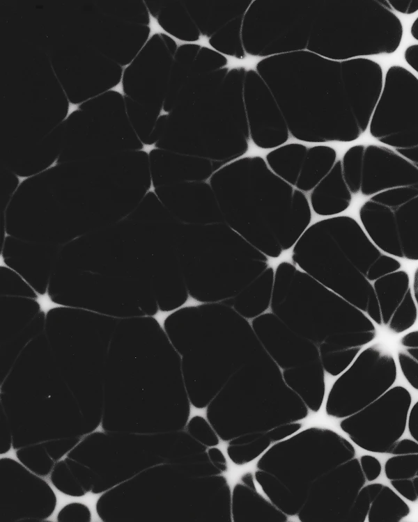 Monochrome Network Art