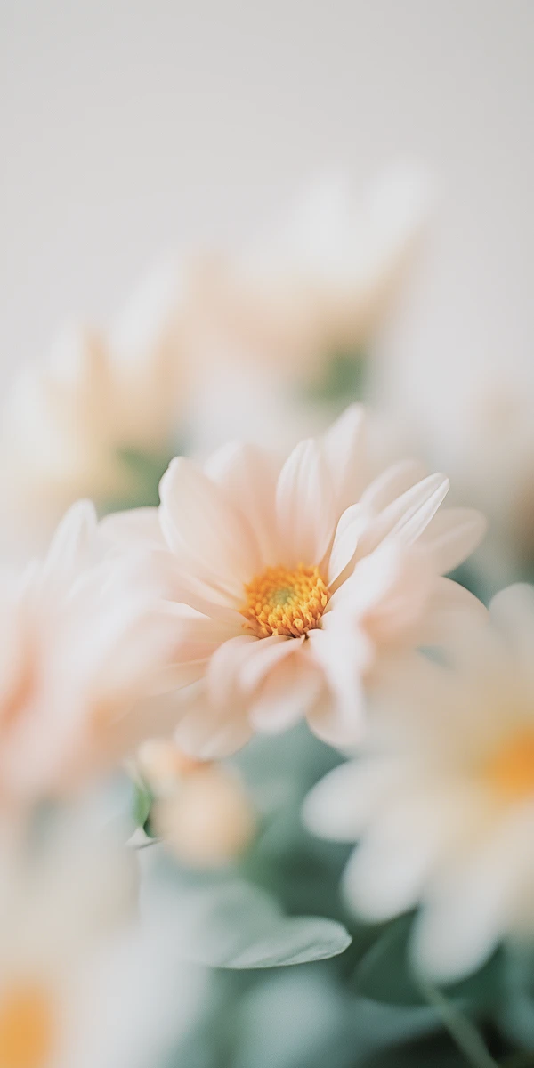 Delicate Pink Flowers