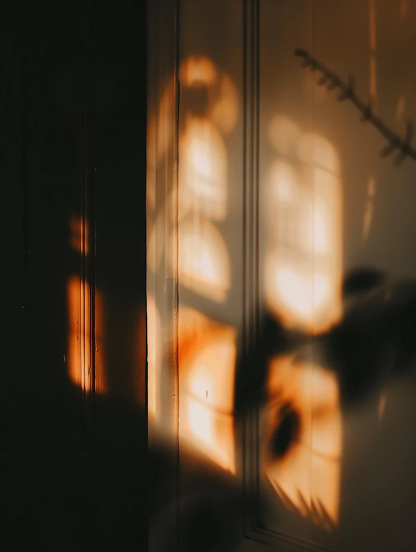 Sunlit Wall Shadows