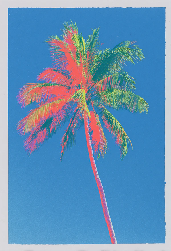 Artistic Palm Illustration
