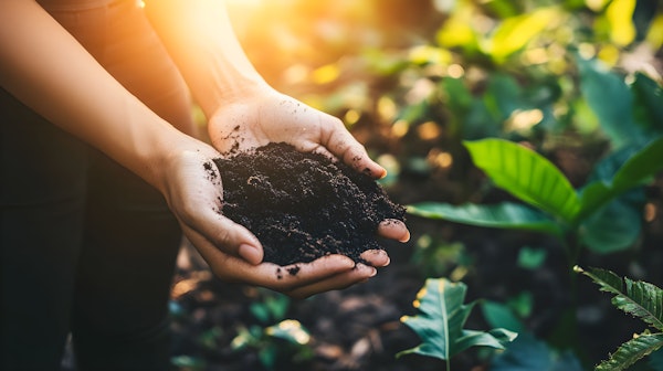 Generational Hands with Soil