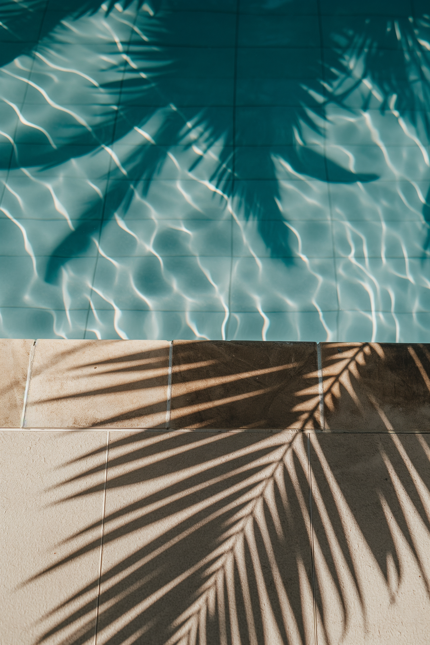 Tranquil Poolside in Sunlight