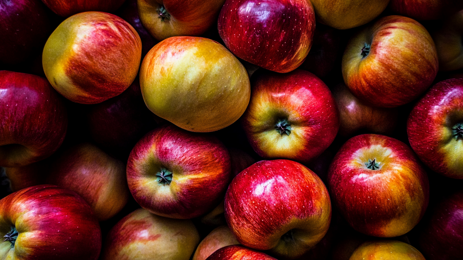 Vibrant Collection of Apples