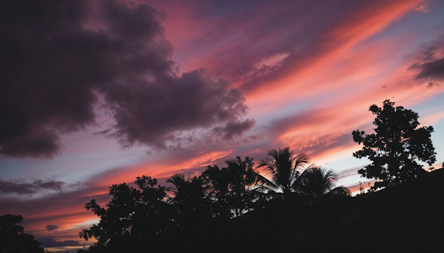 Sunset Silhouettes