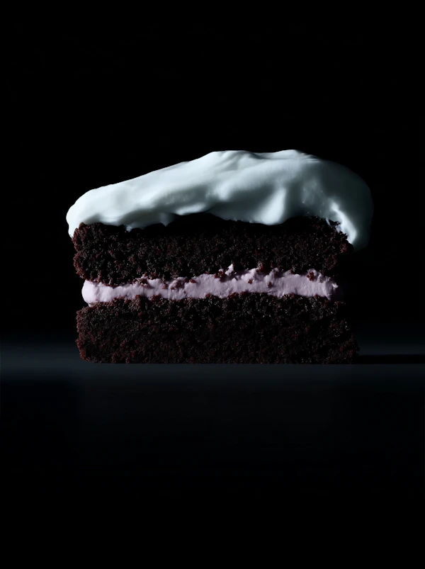 Chocolate Cake Slice