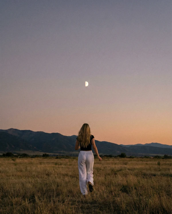 Dusk Field Stroll