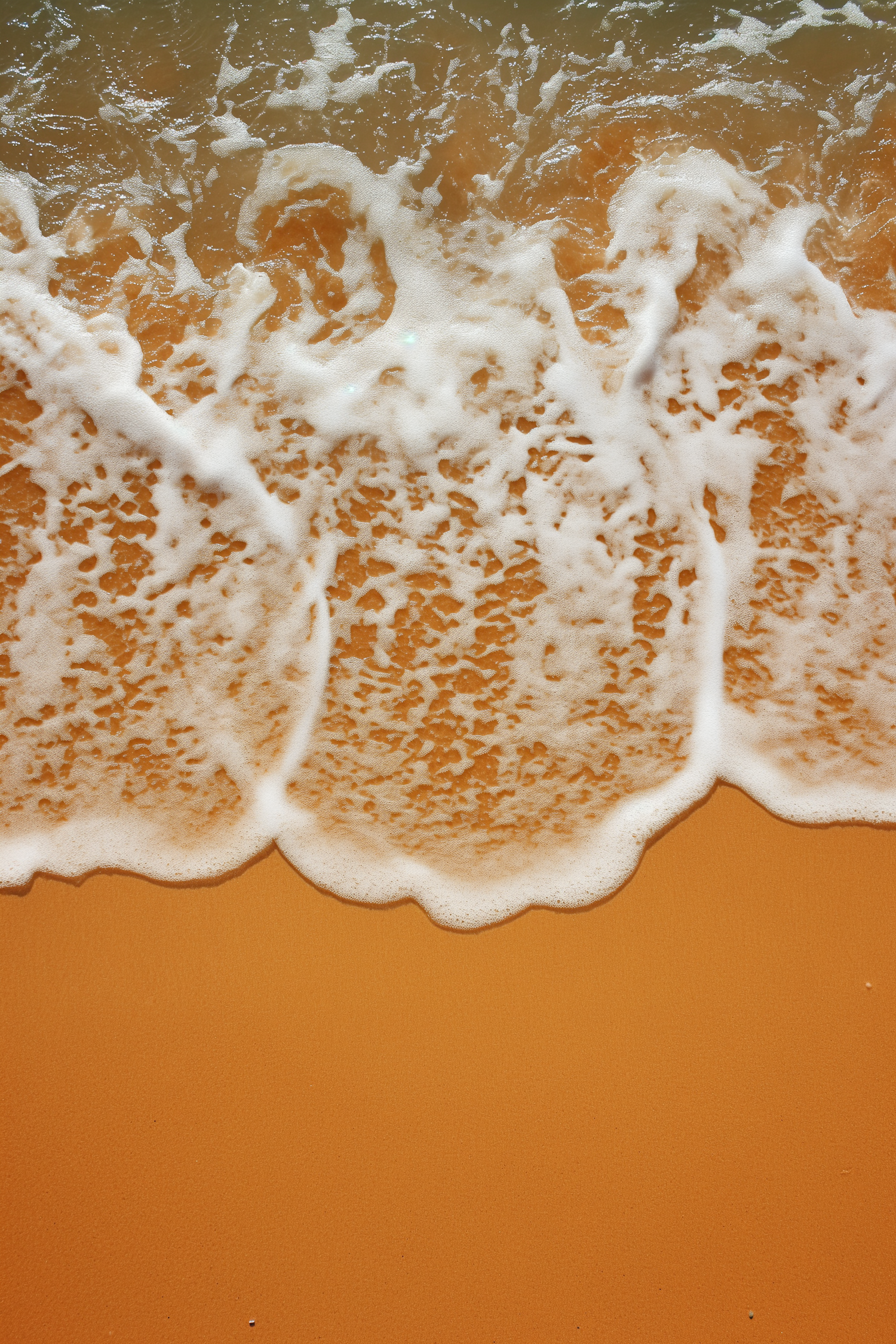 Sunlit Foamy Wave Caress on Caramel Sands