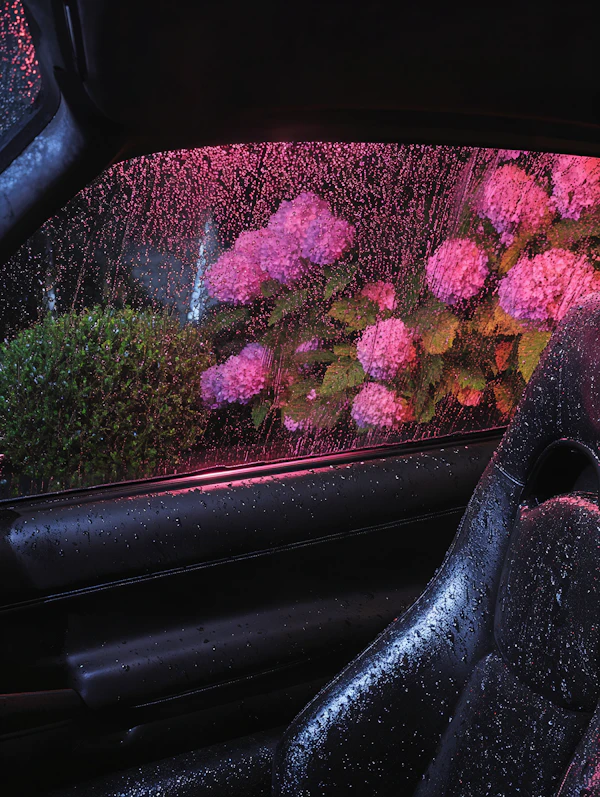 Rainy Car Interior Scene