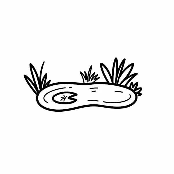 Minimalist Pond Scene