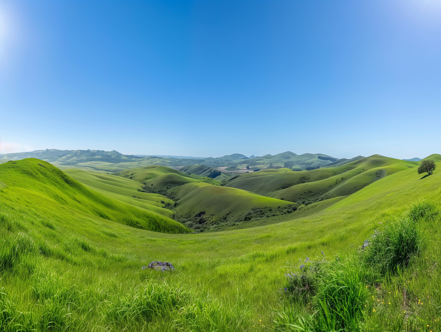 Serene Green Hills Landscape