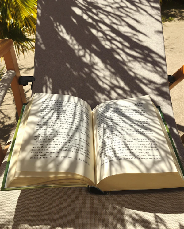 Book on Lounge Chair