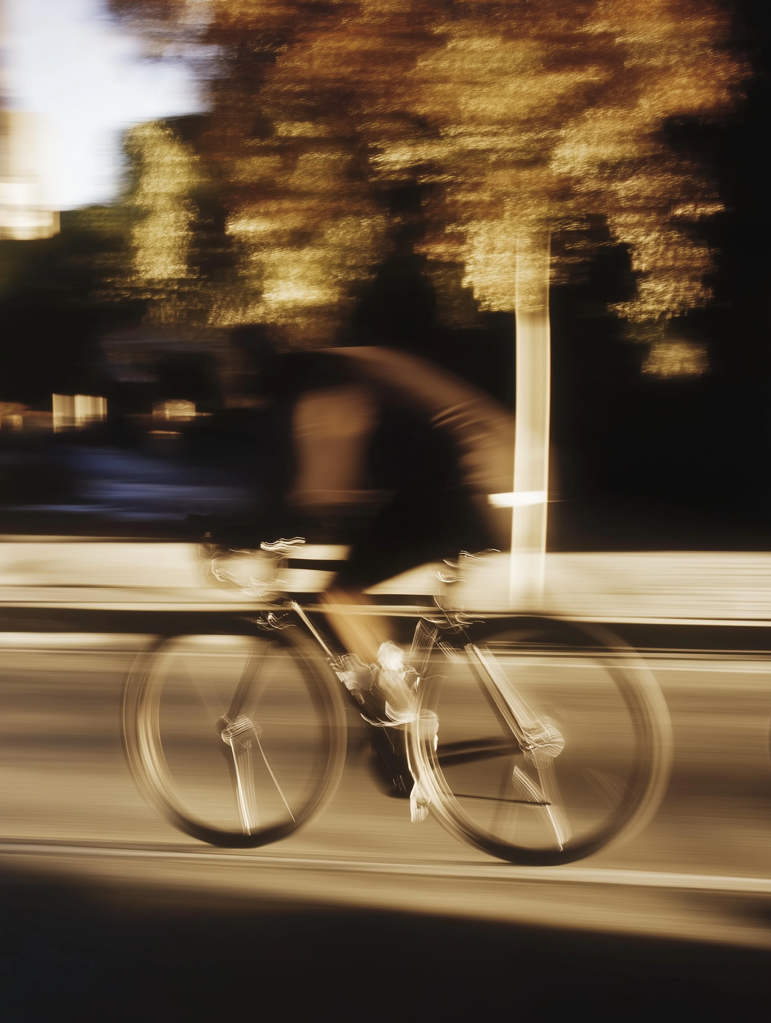 Cyclist in Motion