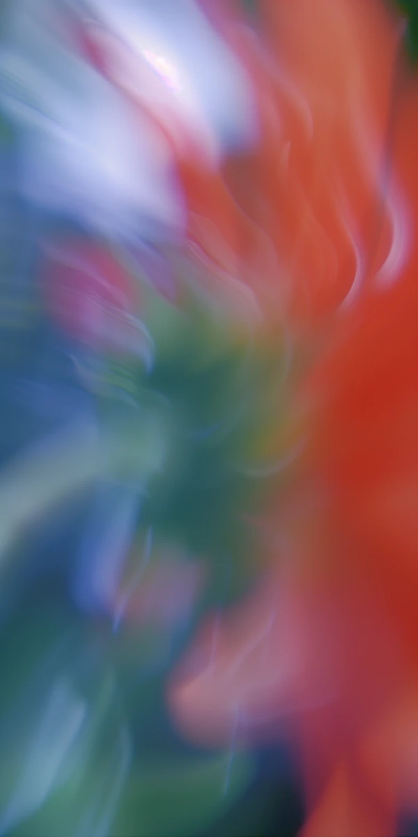 Vibrant Abstract Art