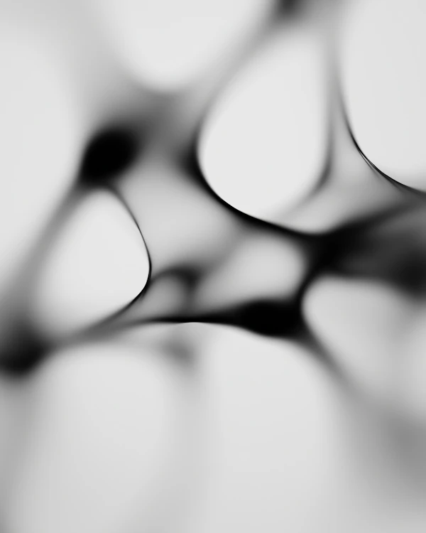 Abstract Fluid Forms