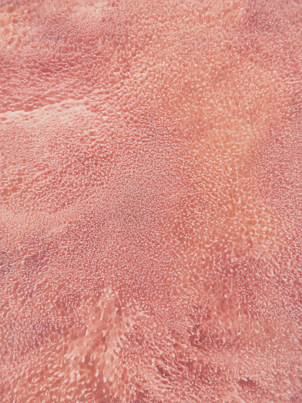 Textured Pink Surface