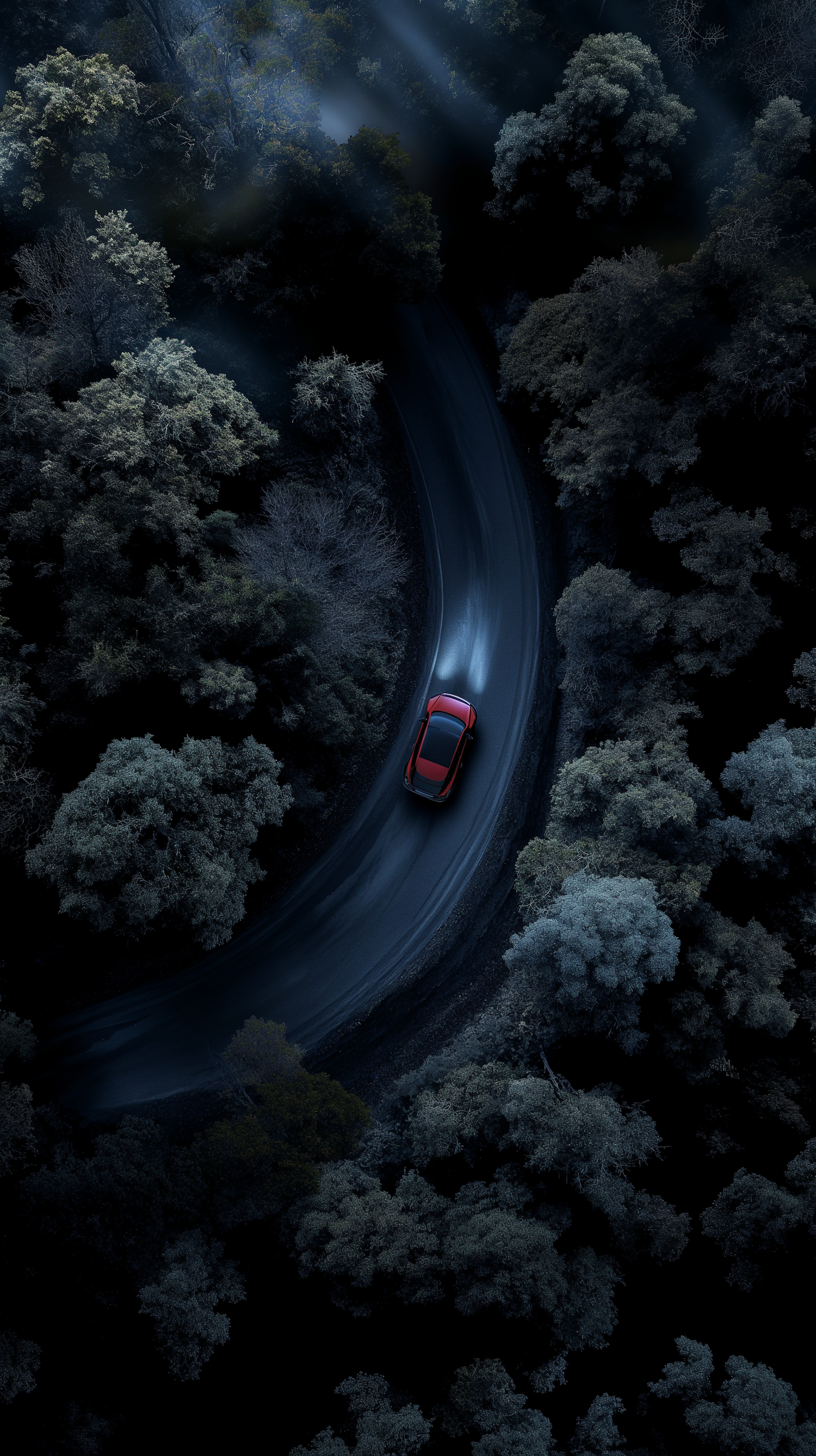 Twilight Serenity on a Forest Road