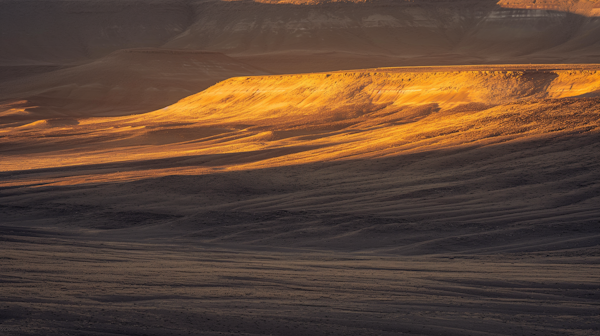 Golden Light on Undulating Terrain