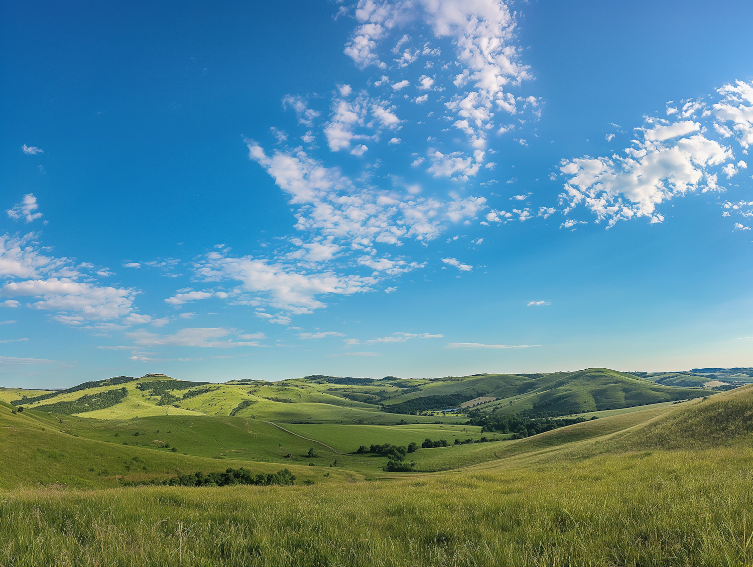 Serene Rolling Hills Landscape