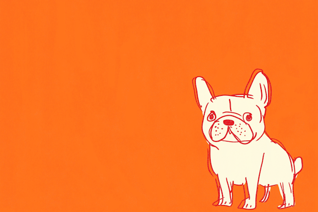 Cartoon French Bulldog Illustration