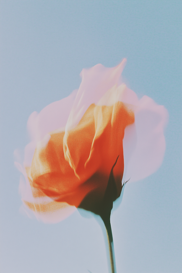 Vibrant Poppy Against Blue Sky