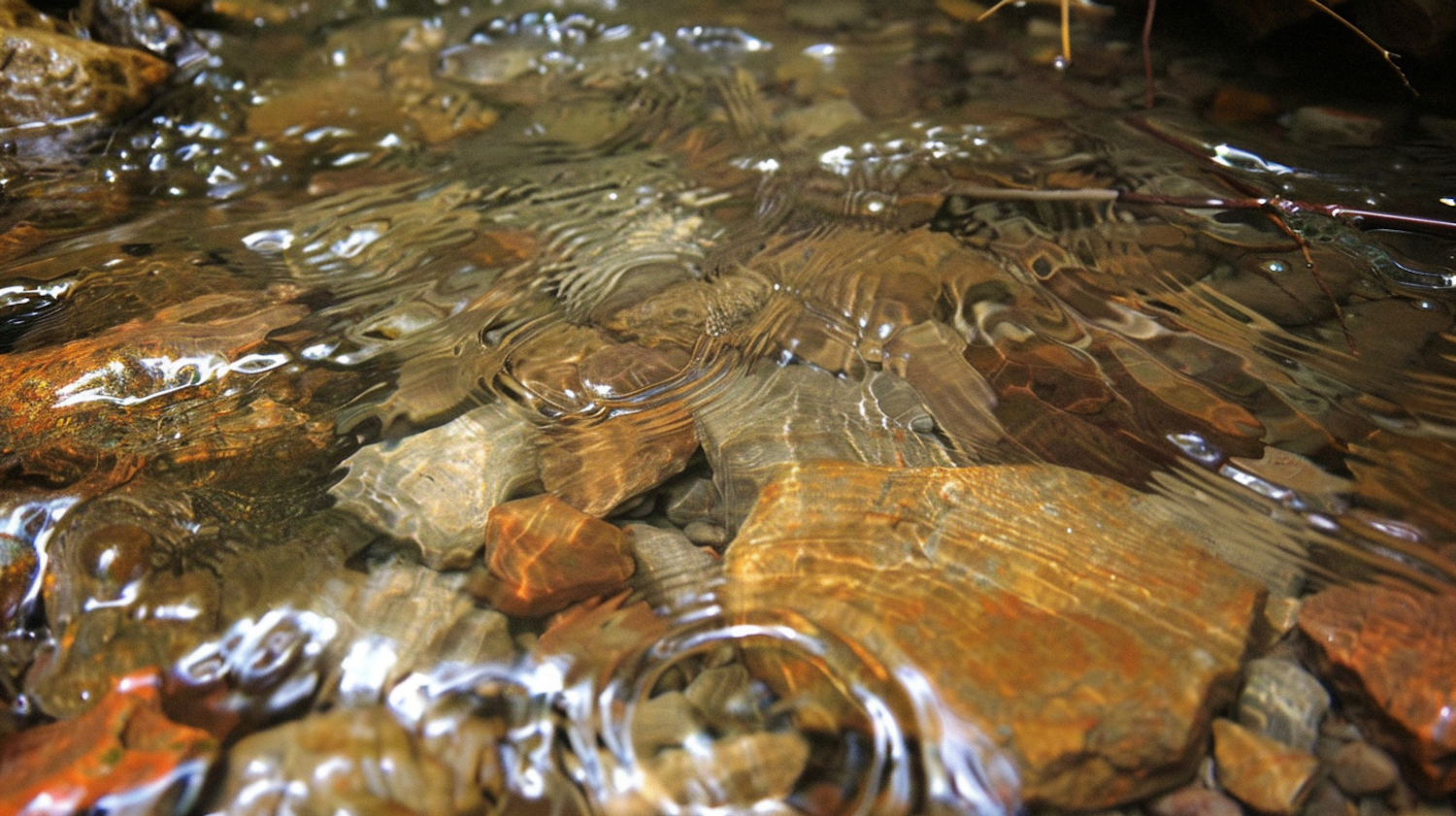 Serene Stream with Multicolored Stones