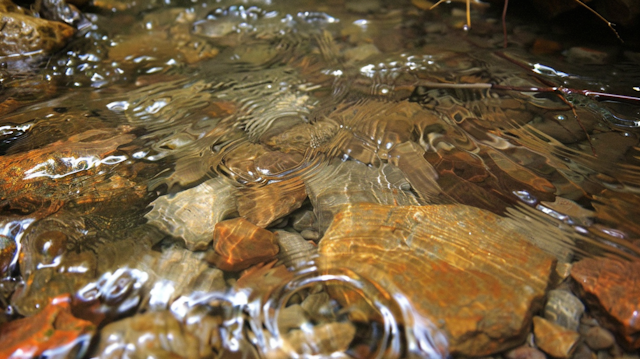 Serene Stream with Multicolored Stones