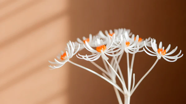 Elegant White Flowers