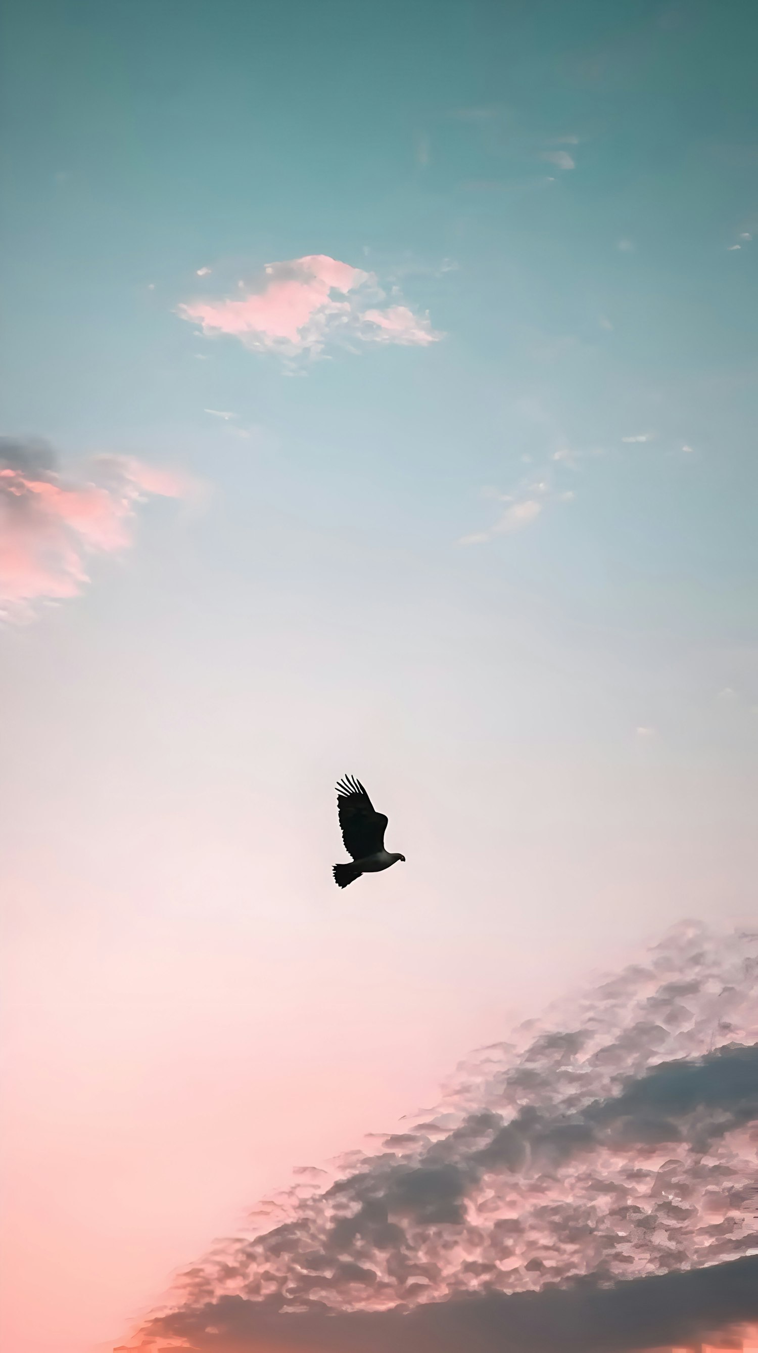 Solitary Bird in Flight