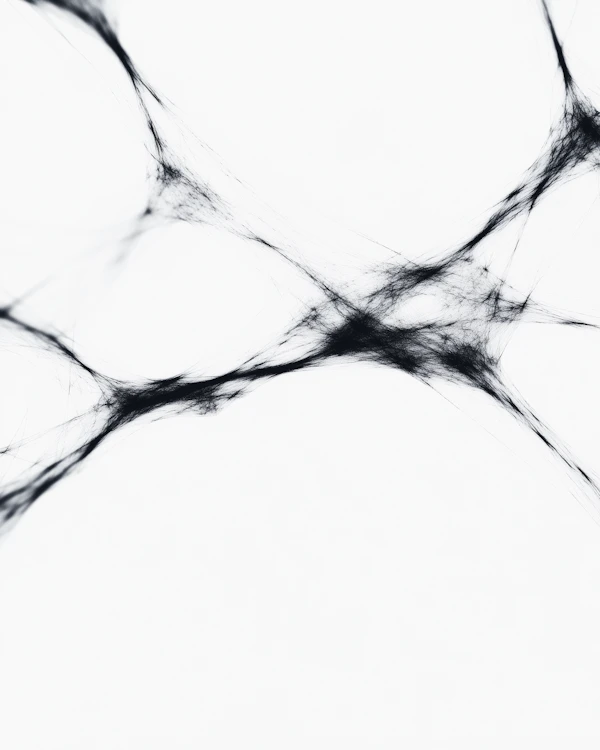 Abstract Web-Like Art