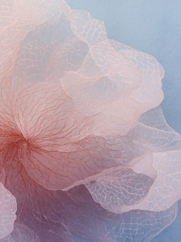 Delicate Pink Petal