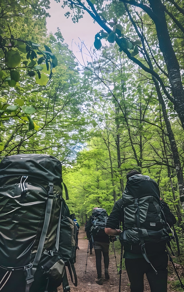 Hikers in Forest