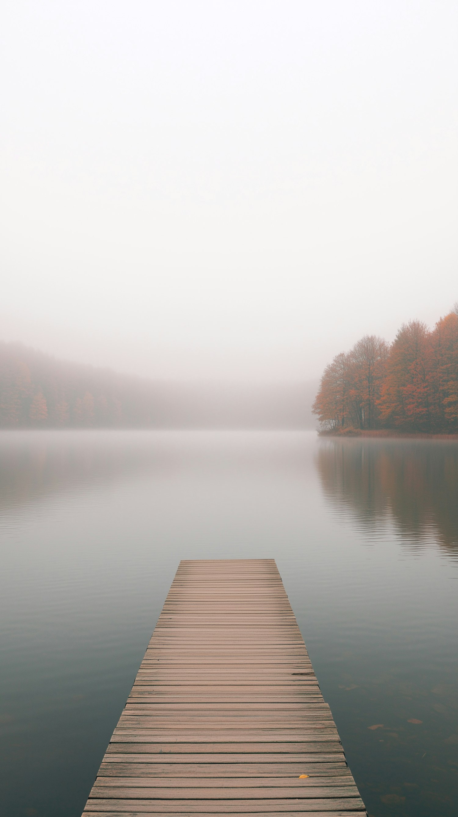 Serene Lakeside Mist