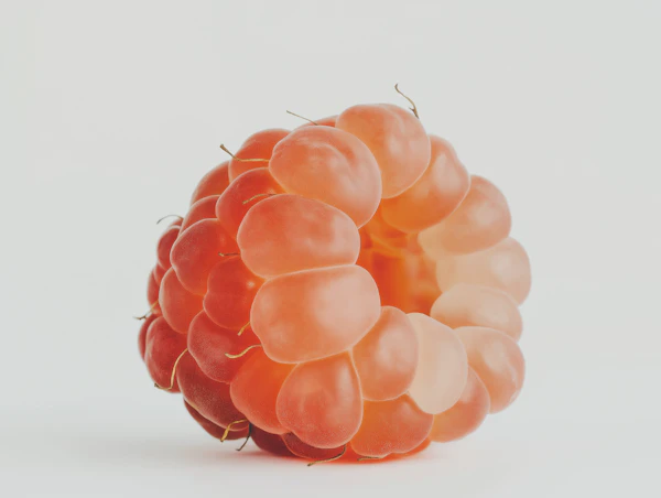 Pink Raspberry Art