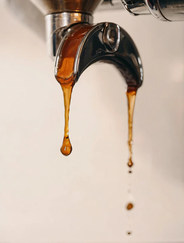 Espresso Brewing Close-Up