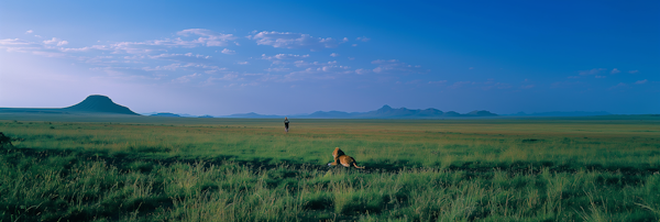 Serenity in the Savannah