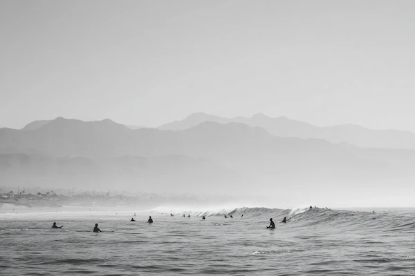 Serene Coastal Surfing
