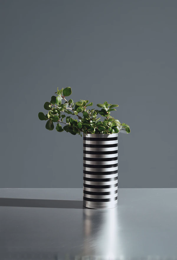 Minimalist Vase Display