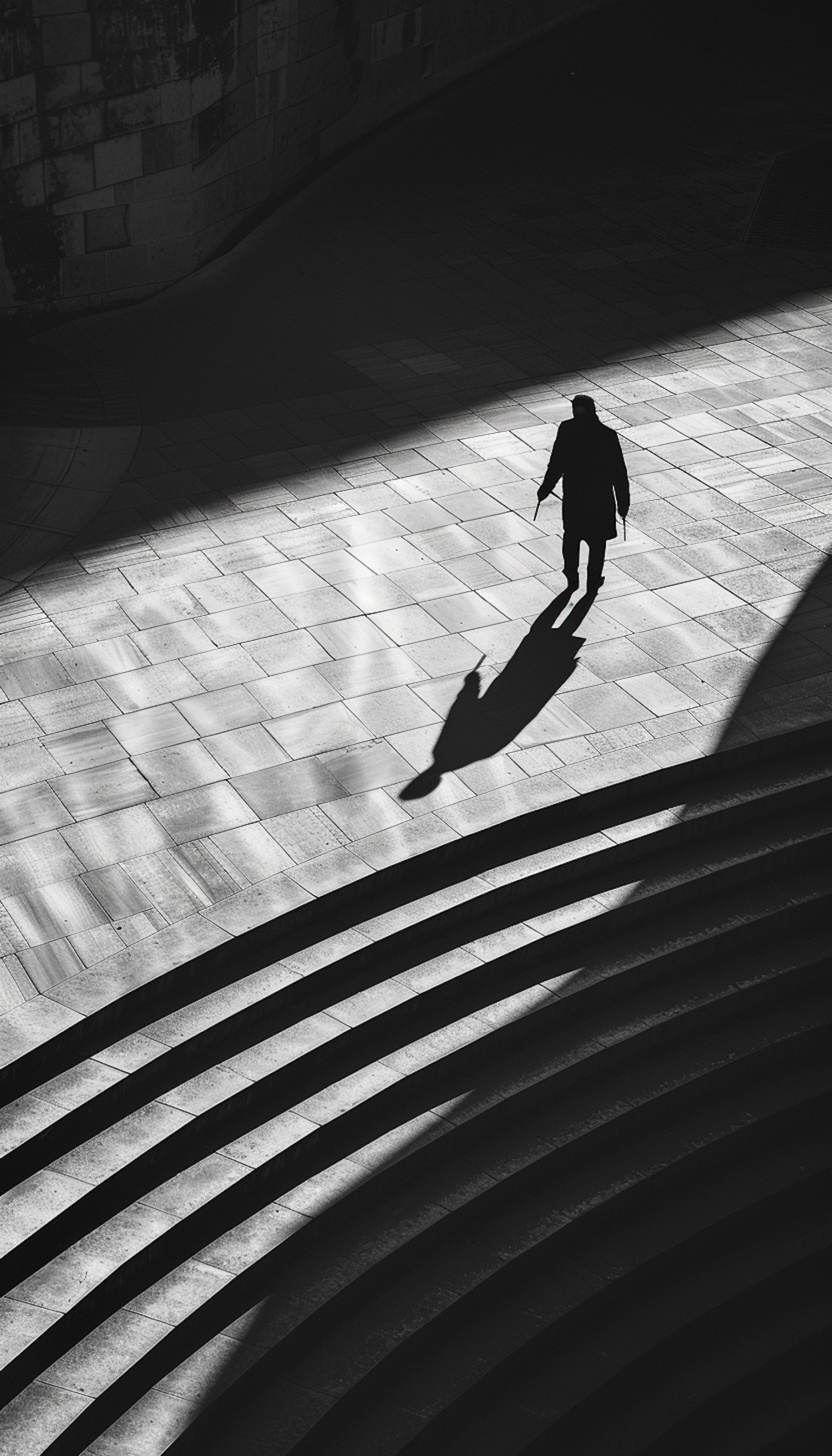 Silhouette in Sunlit Shadows