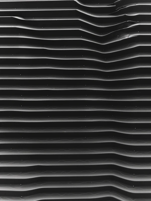 Monochrome Textured Bands