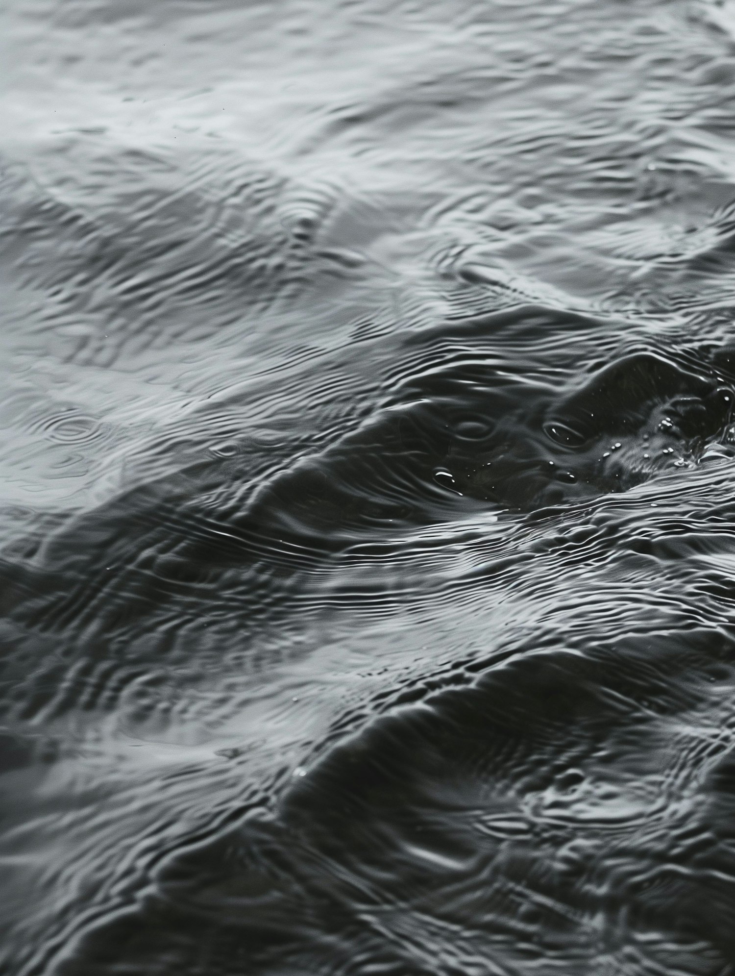 Monochrome Water Patterns