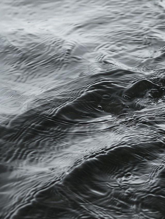 Monochrome Water Patterns