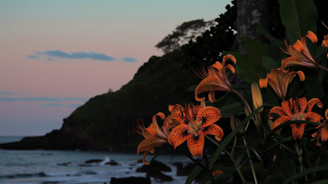 Vibrant Orange Lilies by the Coast