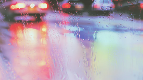 Rainy City Lights