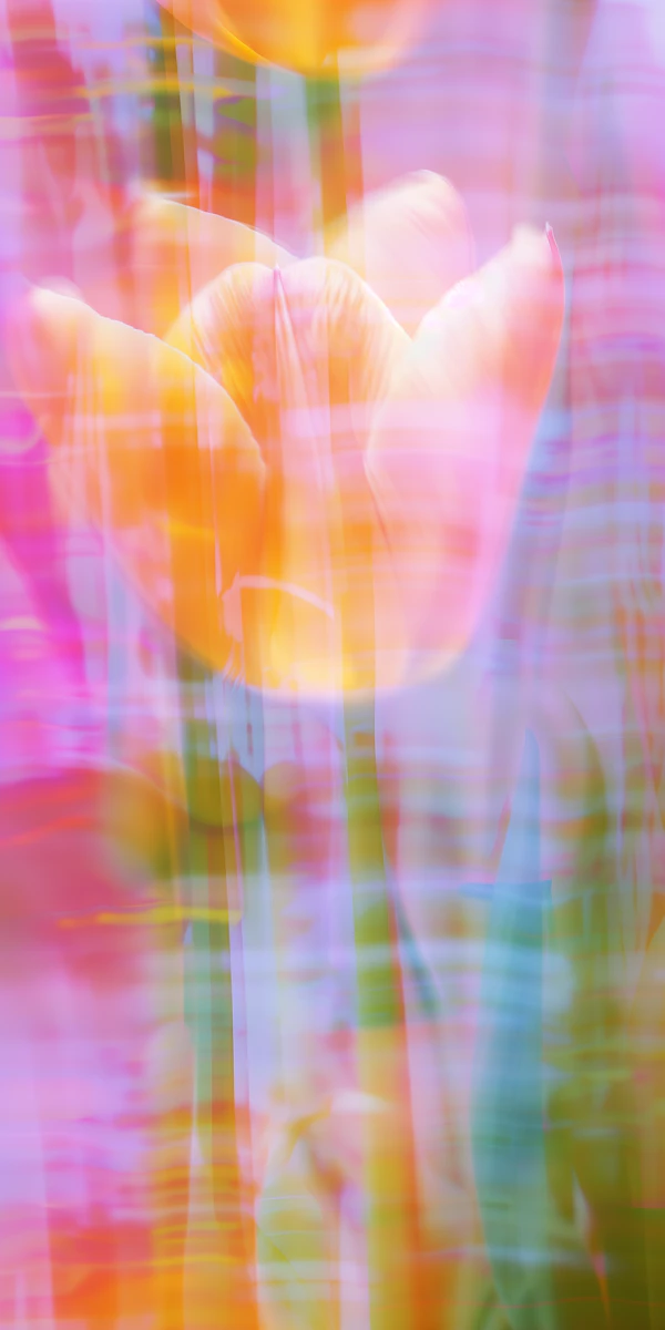 Abstract Tulip Art