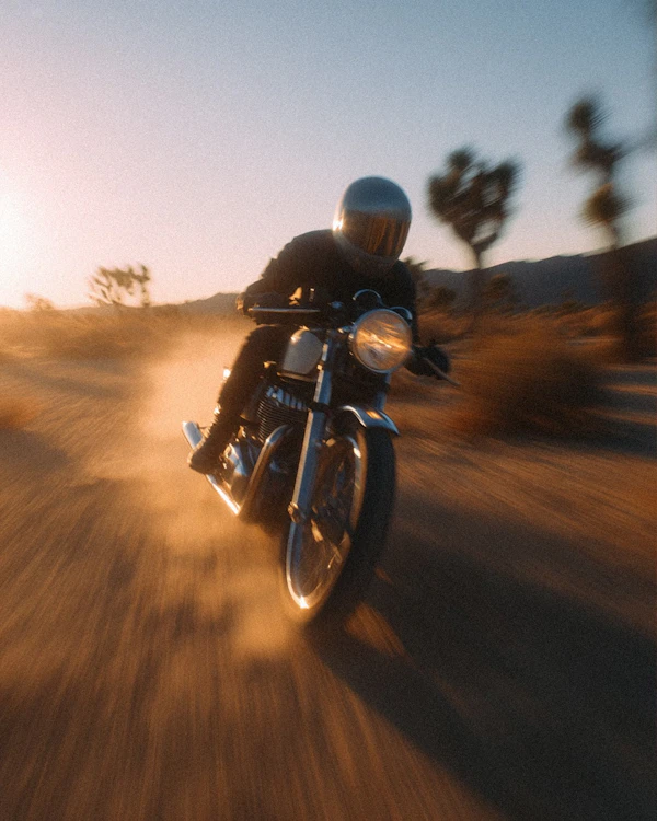 Desert Ride at Sunset