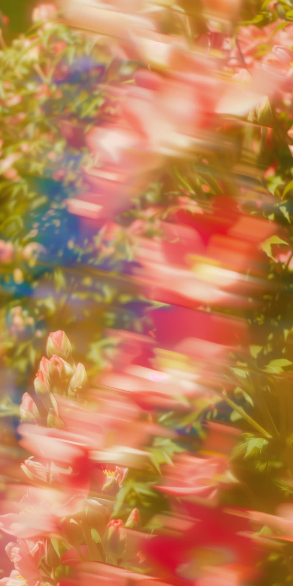 Abstract Garden Scene